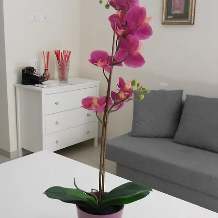 Holiday home Dormi Bottega *